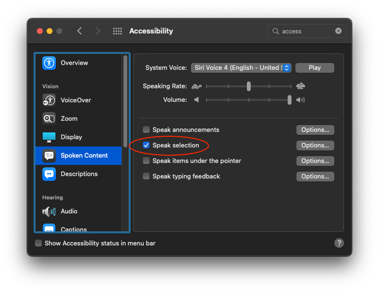 Accessibility panel with the speak selection option checked.